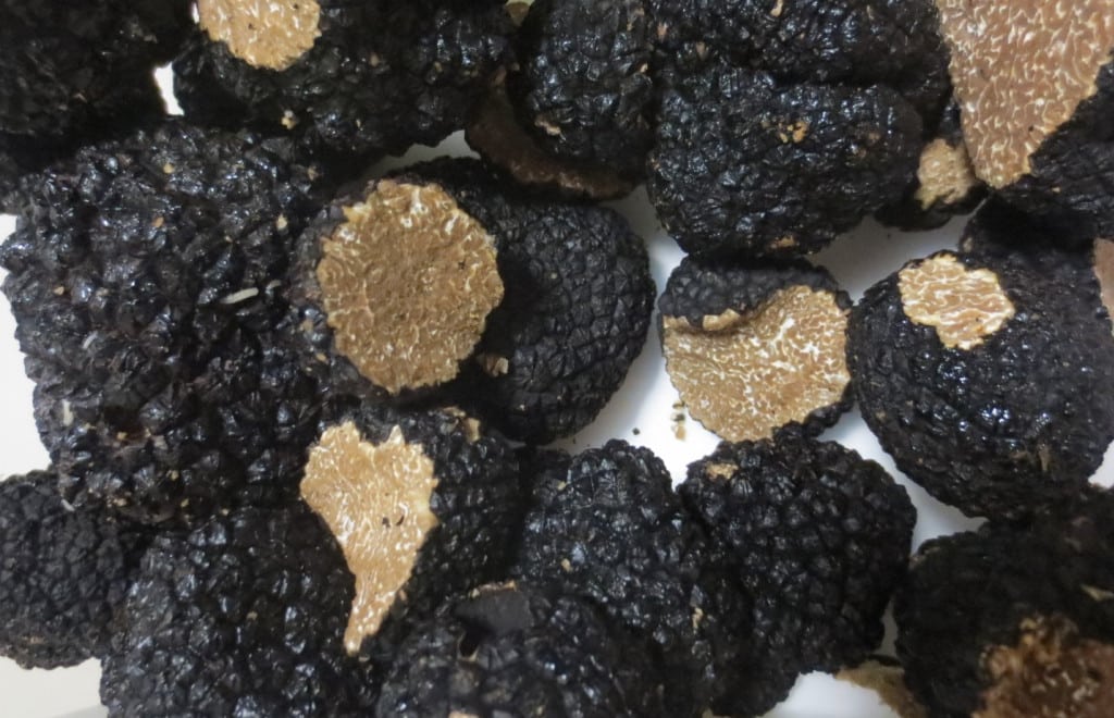 truffes noires du Périgord