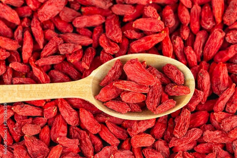 bienfaits baie de goji