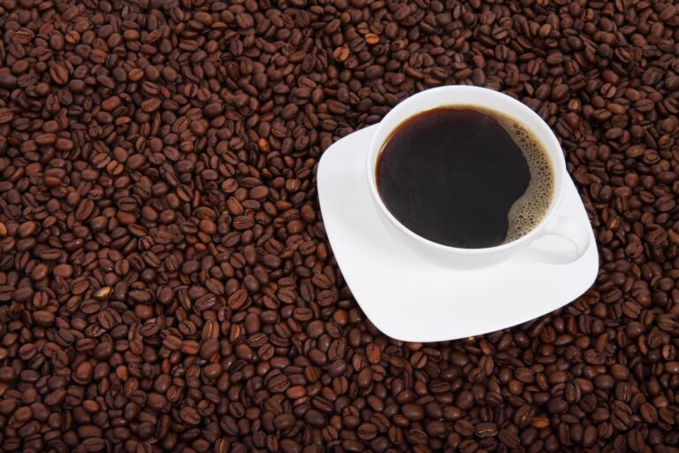 origines du café