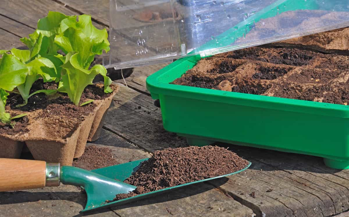 Petits pots de terre en quadrillage avec une pousse de plante et une pelle remplie de terre