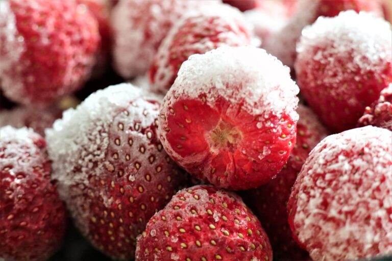 Congélation des fruits rouges